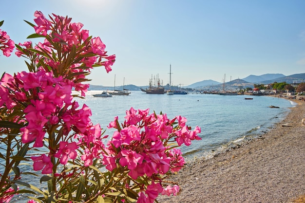 Вид на пляж Бодрум Эгейское море традиционные белые дома цветы пристань для яхт парусные лодки