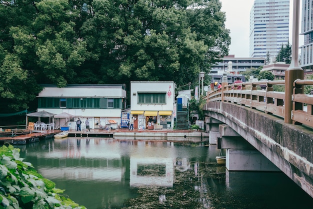 Free photo view of bridge over river in the city