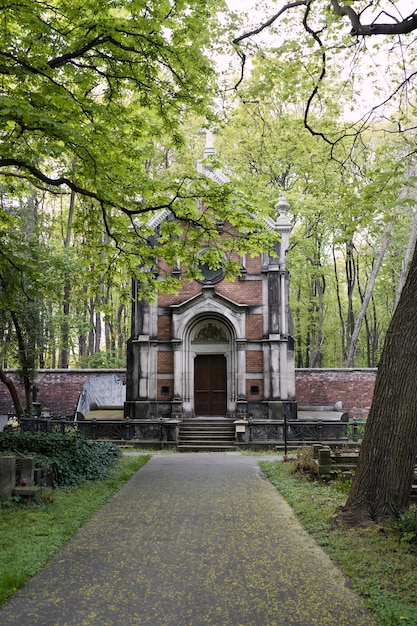Вид на кладбище с надгробиями