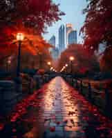 Free photo view of central park in new york city