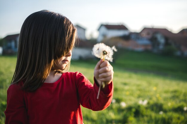 晴れた日に赤いブラウスを着て、畑でタンポポを吹いている子供の様子