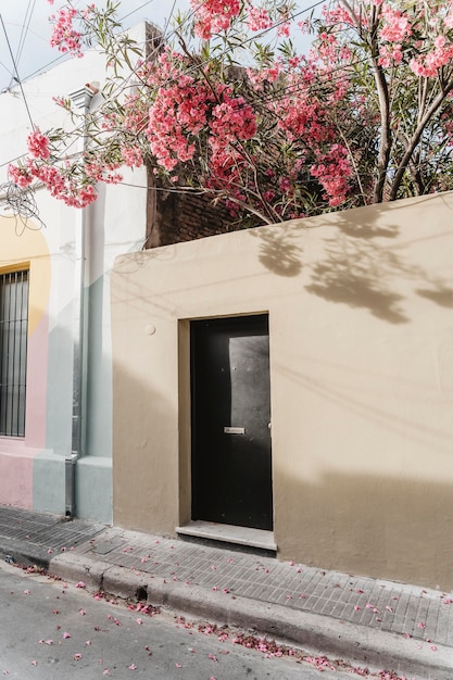 Free photo view of city building with tree and door