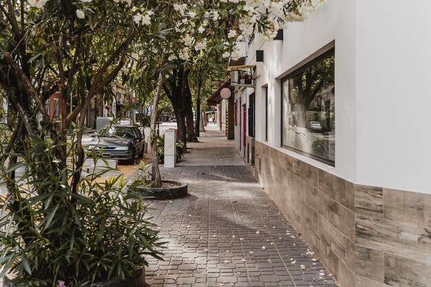 View of city street with building and trees