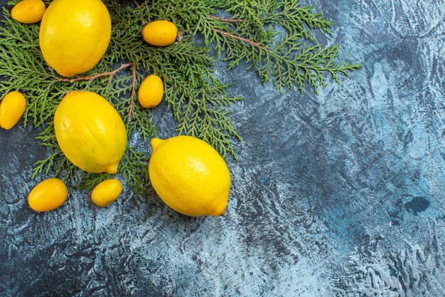 Above view of collection of natural organic fresh citrus fruits on fir branches on dark background