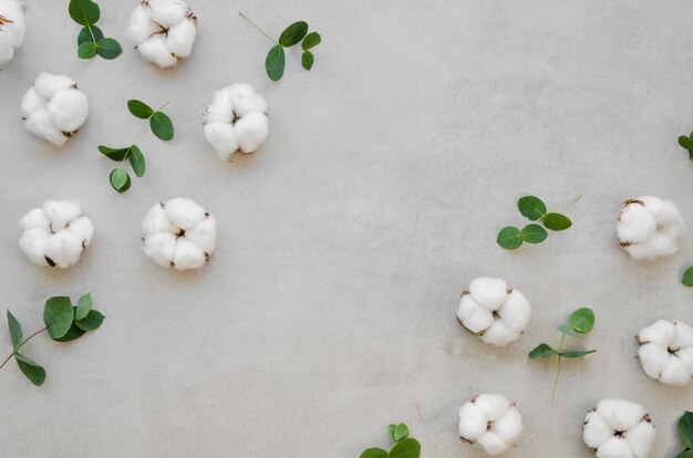 Above view cotton flowers frame