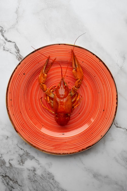 Free photo view of crawfish on plate