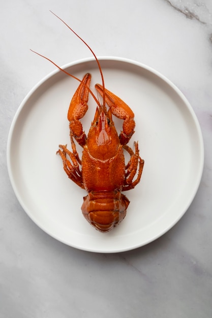 View of crawfish on plate