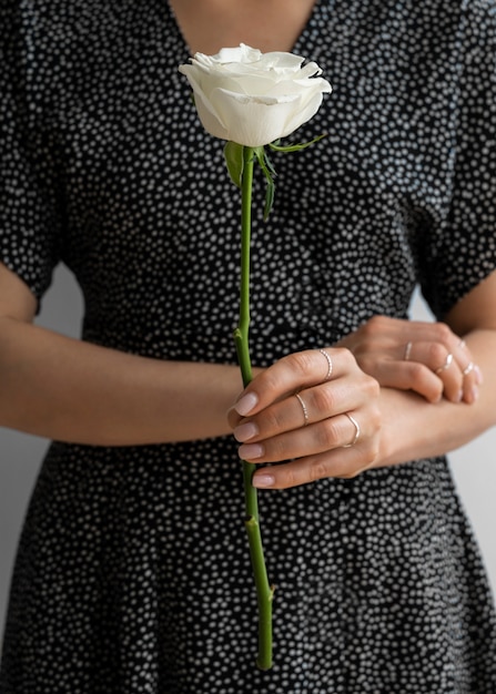 View of delicate white rose held by person