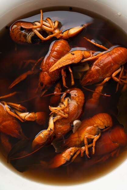 View of dish made of crawfish