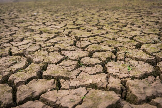 View of dried cracked mud