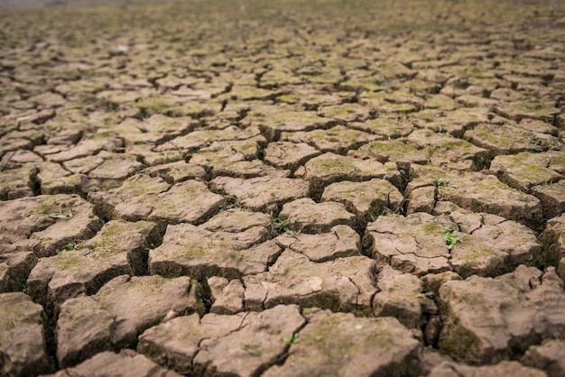 View of dried cracked mud