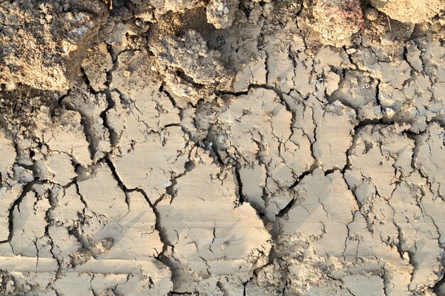 Above view of dry and cracked fertile soil on earth.