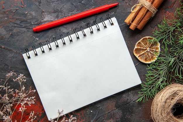 Above view of fir branches closed spiral notebook cinnamon limes conifer cone a ball of rope on red background