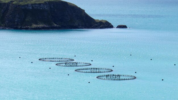 イギリスのスコットランドの養魚場の眺め