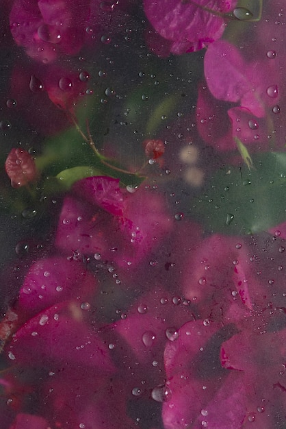 Free photo view of flowers behind condensed glass