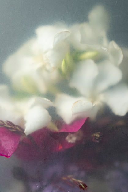 Free photo view of flowers behind condensed glass