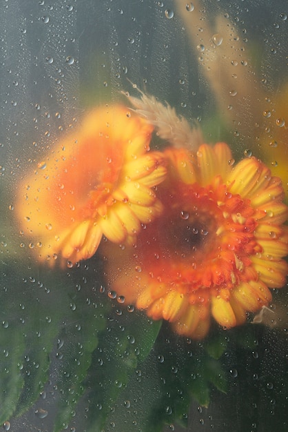 View of flowers behind condensed glass