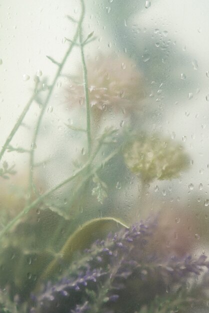 View of flowers through condensed glass with water drops