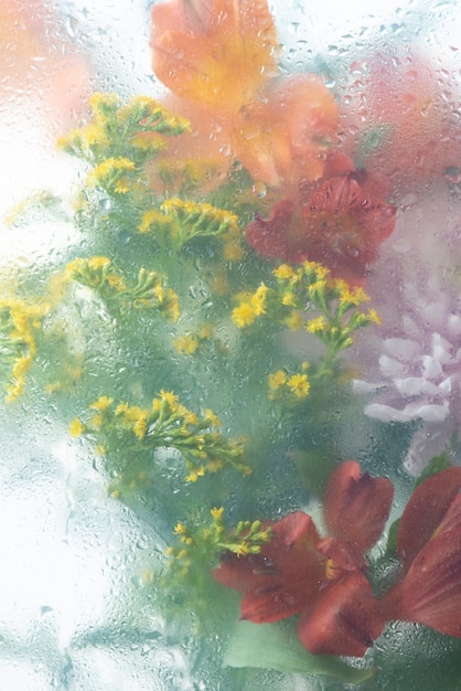 View of flowers through condensed glass with water drops