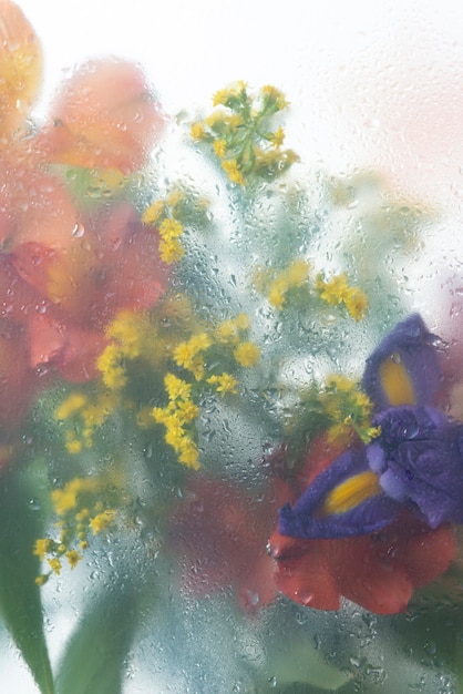 View of flowers through condensed glass with water drops
