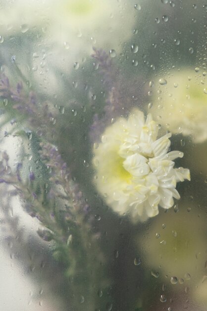 View of flowers through condensed glass with water drops