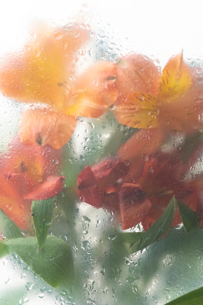 View of flowers through condensed glass with water drops