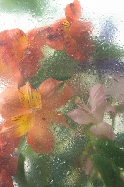 View of flowers through condensed glass with water drops