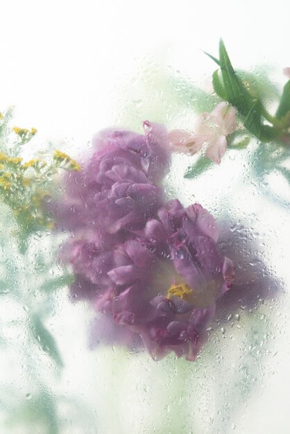 View of flowers through condensed glass