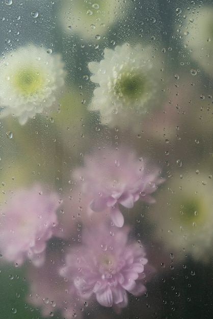 View of flowers through condensed glass