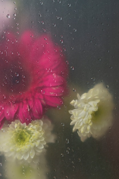 Вид на цветы через конденсированное стекло