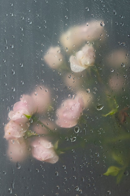 Foto gratuita vista dei fiori attraverso il vetro condensato