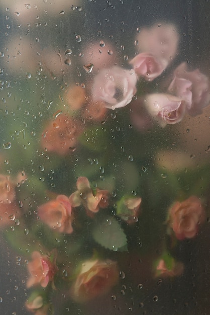 View of flowers through condensed glass