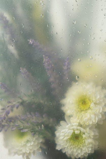 View of flowers behind transparent glass with water drops