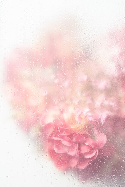 View of flowers behind transparent glass with water drops