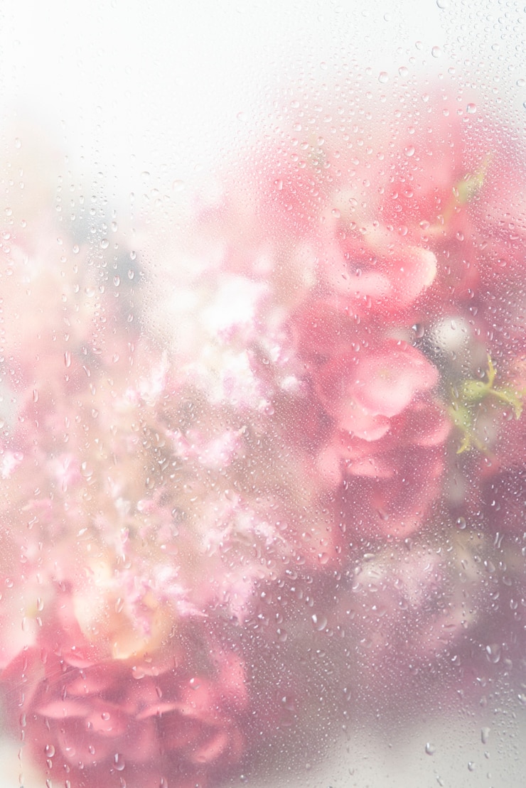 無料Photo 水滴と透明なガラスの後ろの花のビュー