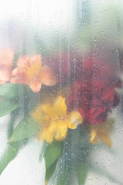 View of flowers behind transparent glass with water drops