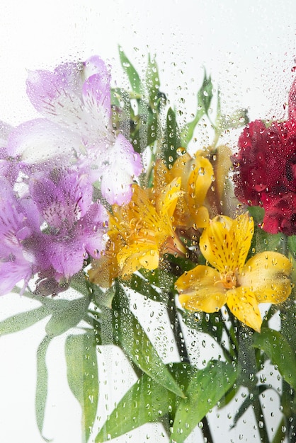 Vista dei fiori dietro un vetro trasparente con gocce d'acqua