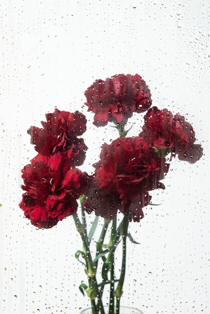 Вид на цветы за прозрачным стеклом с каплями воды