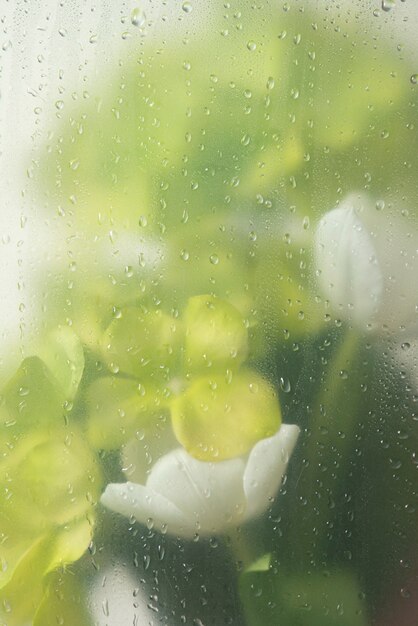 水滴と透明なガラスの後ろの花のビュー