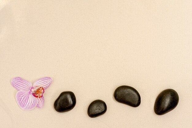 Above view frame with flower and stones