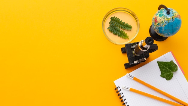 Above view frame with study items