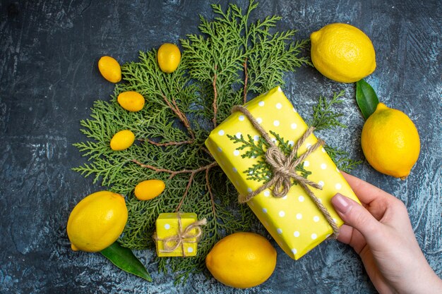 Above view of fresh lemons with leaves kumquats on fir branches hand holding a gift box on dark background
