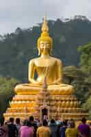 Free photo view of golden buddha statue