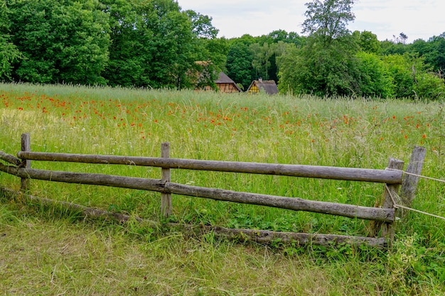 View of a grass field with green trees in the background