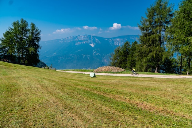 View of a grassy field with trees and mountains  on a sunny day