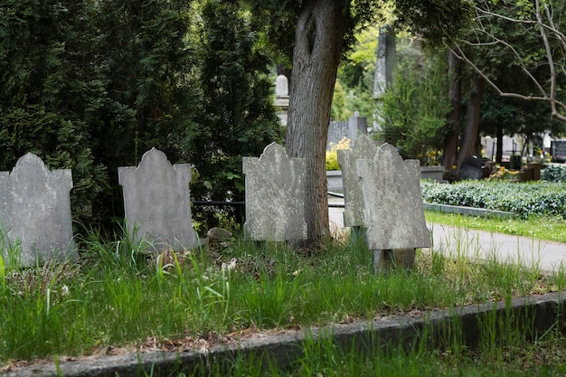 View of graves in the cemetery