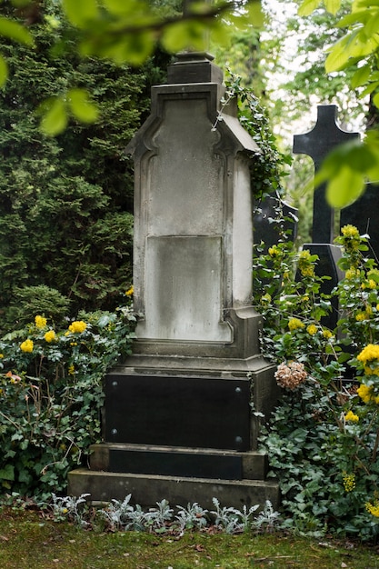 Вид на могилы на кладбище