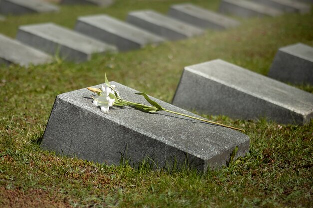 View of gravestone with flowers