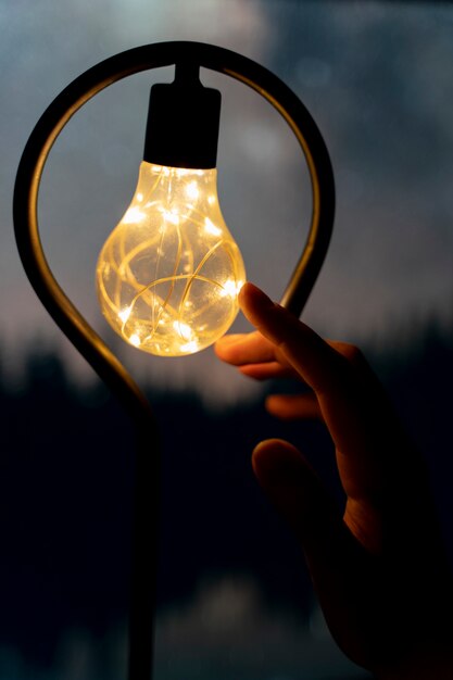 View of hands holding lightbulb lamp