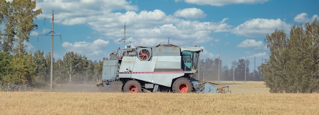 View of harvester cutting wheat, collecting grain